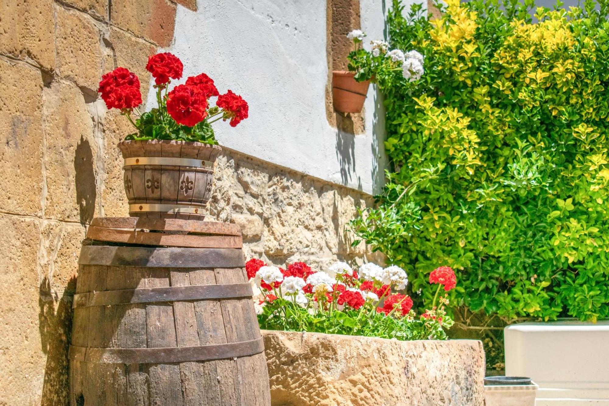Casa Rural Arotzenia, Hogar Rustico En Pleno Valle De La Ulzama Lizaso 外观 照片